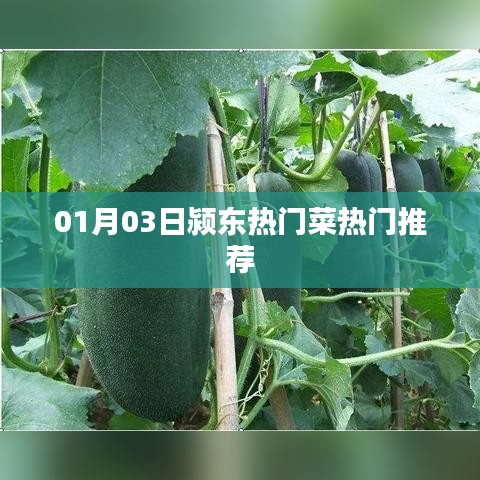颍东热门菜推荐榜揭晓，不容错过的美食盛宴