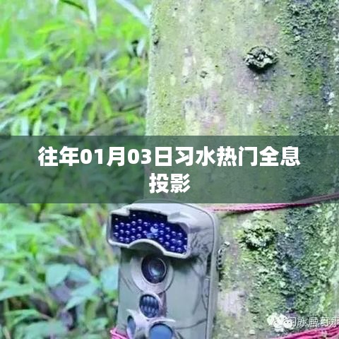 企业动态 第81页