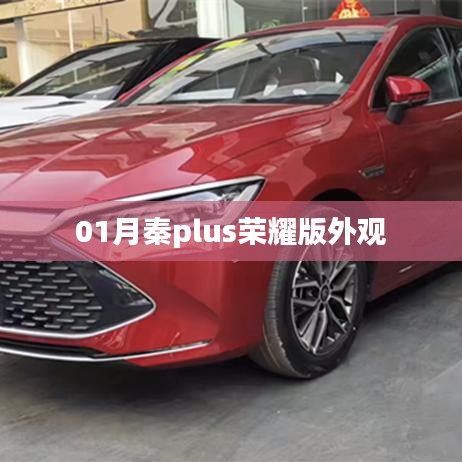 秦PLUS荣耀版外观惊艳亮相！