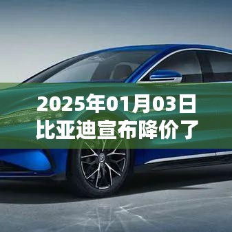 比亚迪宣布降价幅度，日期揭晓！