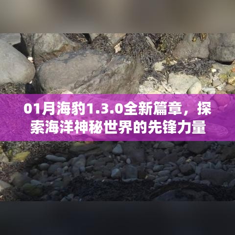 探索海洋新篇章,海豹1.3.0引领神秘之旅