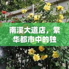 喷涂车间 第82页