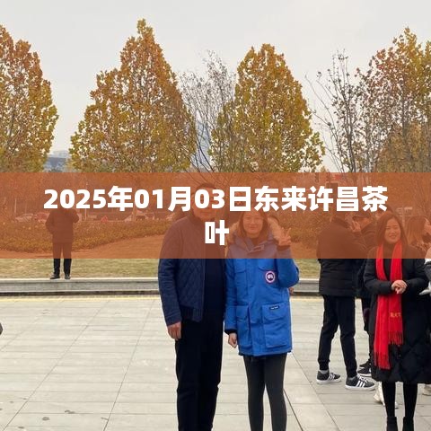 2025年许昌茶叶市场展望,东来茶叶新动向