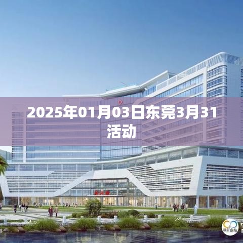 东莞三月活动预告,2025年3月31日精彩活动回顾