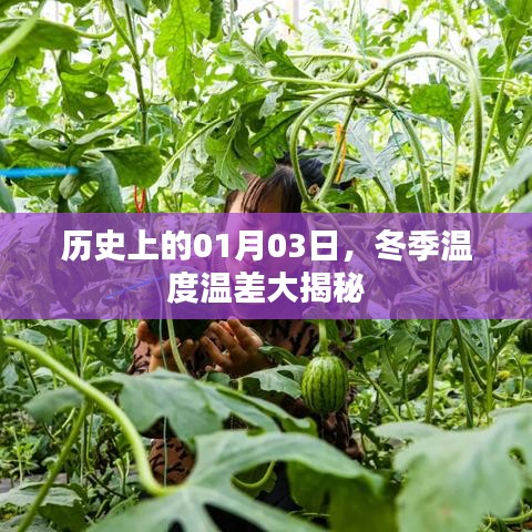 冬季温差揭秘,历史上的1月3日揭秘