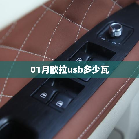 关于欧拉的USB功率标题建议,欧拉USB功率揭秘,一月充电新标准!