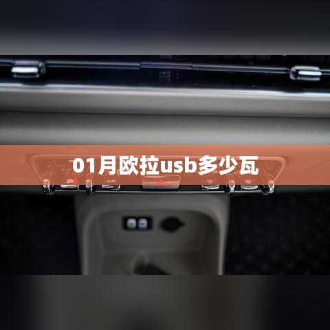 关于欧拉的USB功率标题建议,欧拉USB功率揭秘,一月充电新标准!