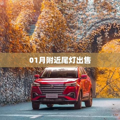 01月附近高品质尾灯出售,款式多样!