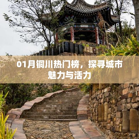 铜川热门榜,探寻城市魅力与活力