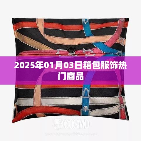 『2025年热门箱包服饰一览』