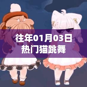 猫舞狂欢，历年一月三日盛况回顾