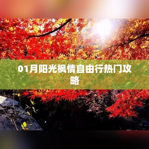 一月阳光枫情自由行攻略大全