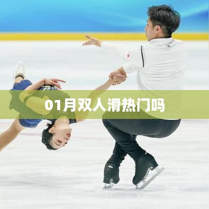 双人滑在冬季热门运动中的关注度分析