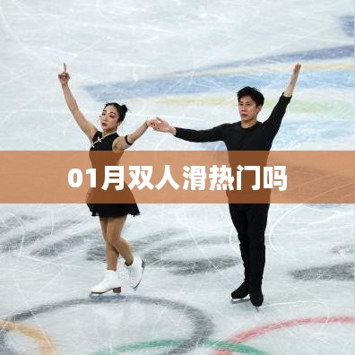 双人滑在冬季热门运动中的关注度分析