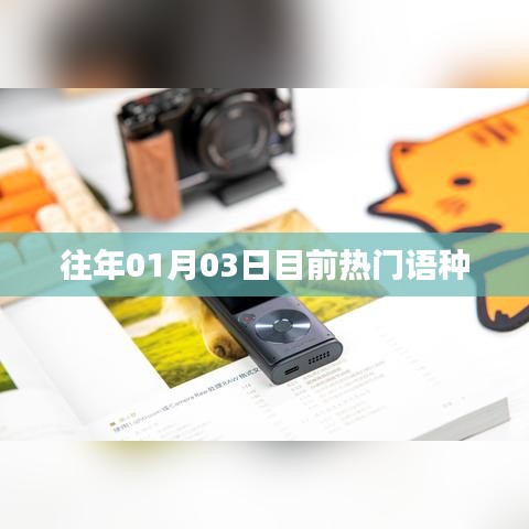 全球热门语言趋势,历年一月三日最新动态分析