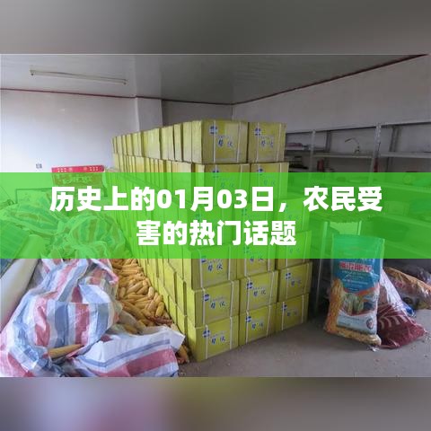 农民受害事件揭秘,历史上的1月3日回顾