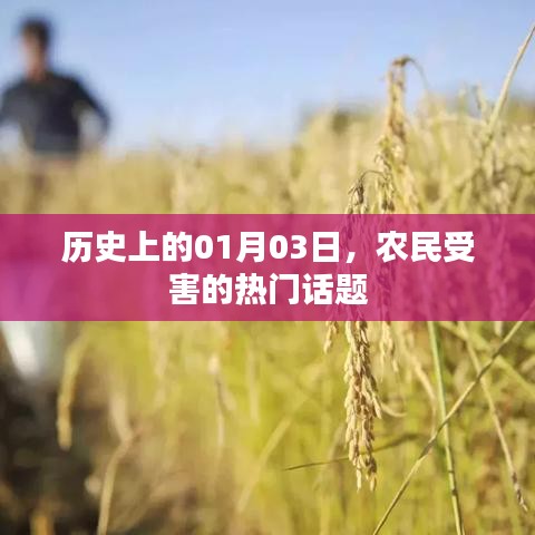 农民受害事件揭秘,历史上的1月3日回顾
