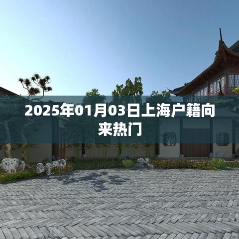 上海户籍持续热门,探讨背后的原因