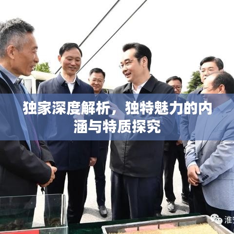 独家深度解析,独特魅力的内涵与特质探究