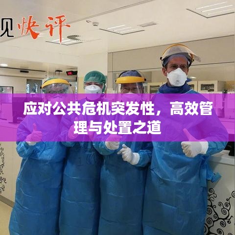 应对公共危机突发性,高效管理与处置之道