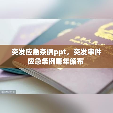 突发应急条例ppt,突发事件应急条例哪年颁布