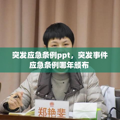突发应急条例ppt,突发事件应急条例哪年颁布