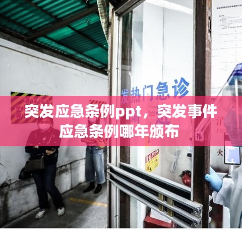 突发应急条例ppt,突发事件应急条例哪年颁布