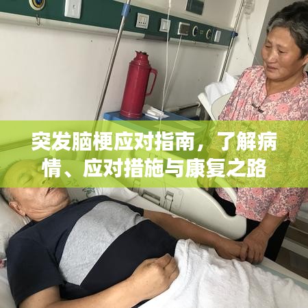 突发脑梗应对指南,了解病情、应对措施与康复之路