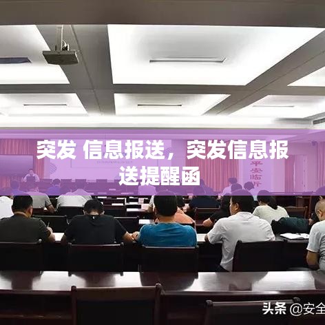 突发 信息报送，突发信息报送提醒函 
