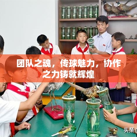 团队之魂,传球魅力,协作之力铸就辉煌