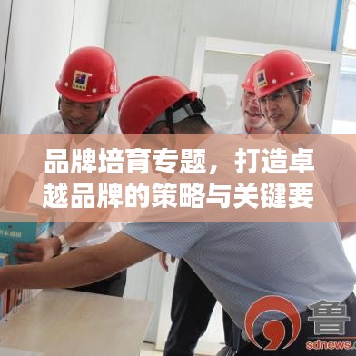 品牌培育专题,打造卓越品牌的策略与关键要素探讨