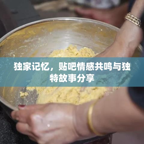 独家记忆,贴吧情感共鸣与独特故事分享