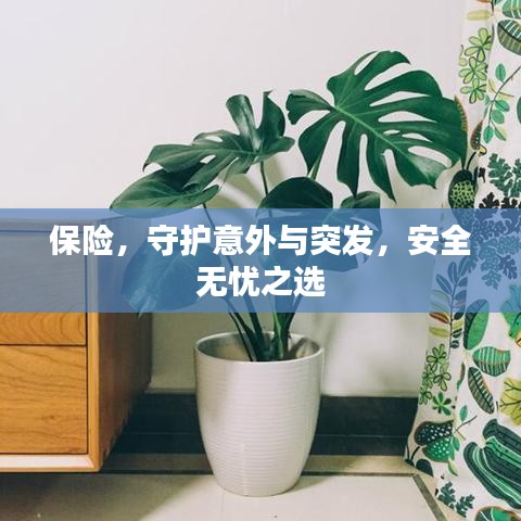 保险，守护意外与突发，安全无忧之选