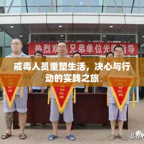 戒毒人员重塑生活,决心与行动的实践之旅