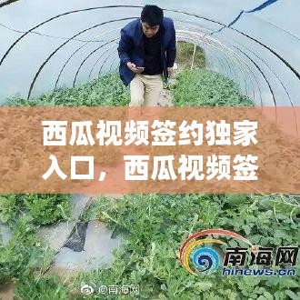 西瓜视频签约独家入口，西瓜视频签约独家有什么好处 