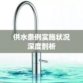 供水条例实施状况深度剖析