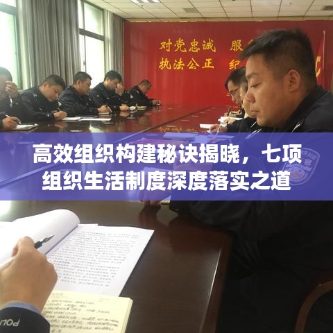 高效组织构建秘诀揭晓，七项组织生活制度深度落实之道