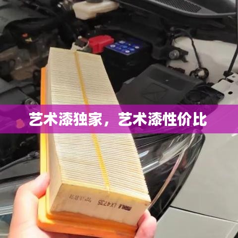 艺术漆独家,艺术漆性价比