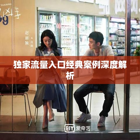 独家流量入口经典案例深度解析