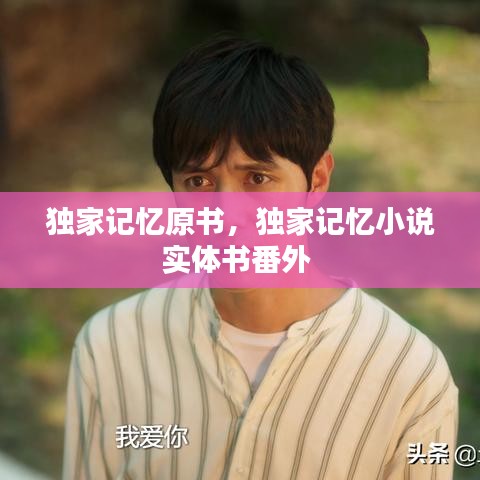 独家记忆原书,独家记忆小说实体书番外