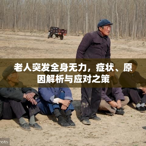 老人突发全身无力,症状、原因解析与应对之策