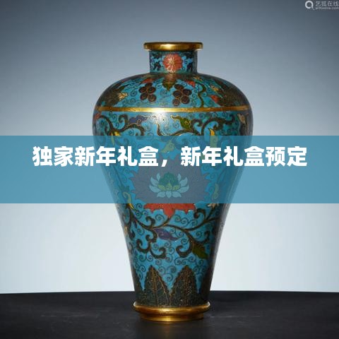 独家新年礼盒，新年礼盒预定 