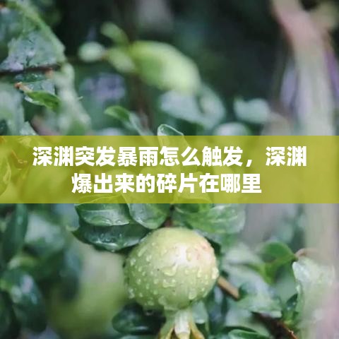 深渊突发暴雨怎么触发,深渊爆出来的碎片在哪里