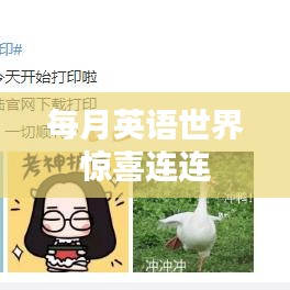 每月英语世界惊喜连连
