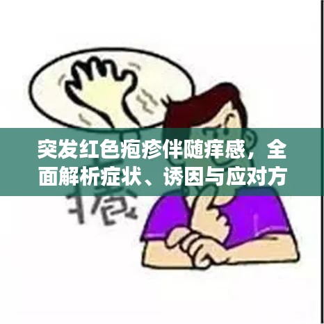 落土飞岩 第6页