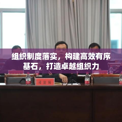 组织制度落实，构建高效有序基石，打造卓越组织力