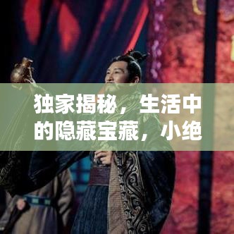 独家揭秘,生活中的隐藏宝藏,小绝技大智慧