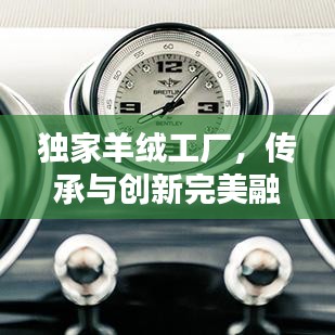 独家羊绒工厂，传承与创新完美融合，品质之选！