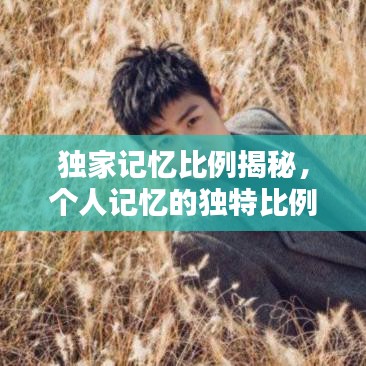 独家记忆比例揭秘，个人记忆的独特比例探索