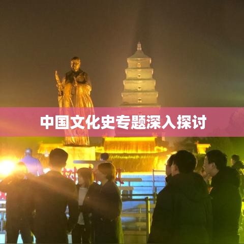中国文化史专题深入探讨